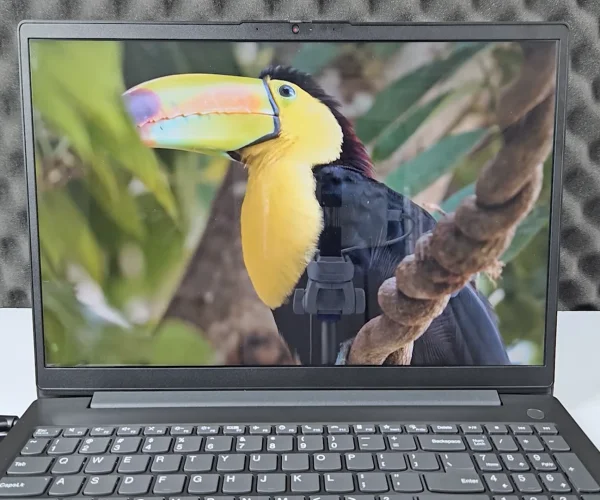 نمای نمایشگر لپ تاپ لنوو V15-PA