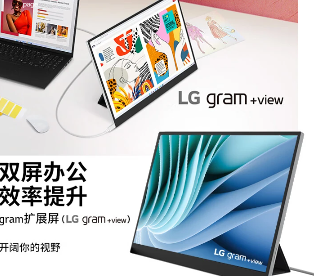 LG gramview