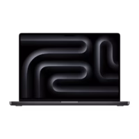 لپ تاپ اپل 16 اینچی مدل مک بوک پرو MX303 2024 M4 Max 36GB 1TB پلازا دیجیتال