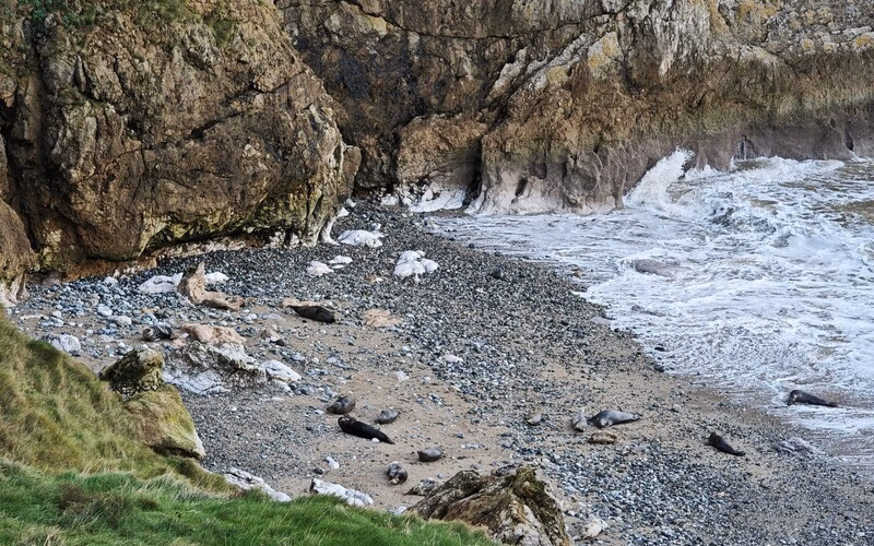 نقد و بررسی پوکو F8 اولترا؛ پرچم داری متفاوت! 17 کیفیت زوم poco f8 اولترا