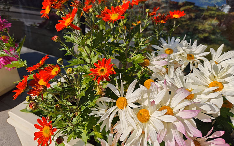 بررسی گوشی پوکو F8 پرو 14 بررسی گوشی پوکو F8 پرو دوربین اصلی