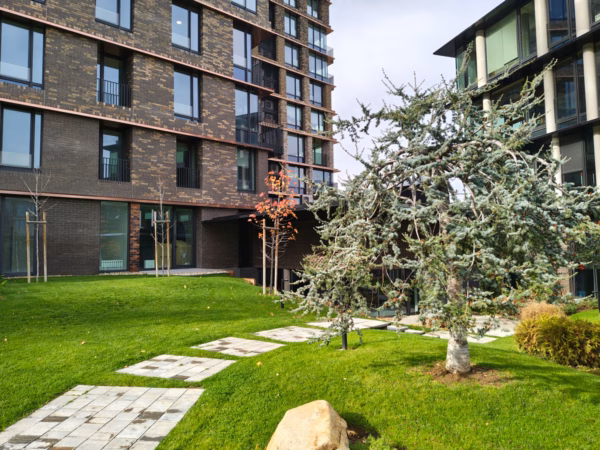 نقد و بررسی موتورولا Edge 70 13 Main camera in day 2