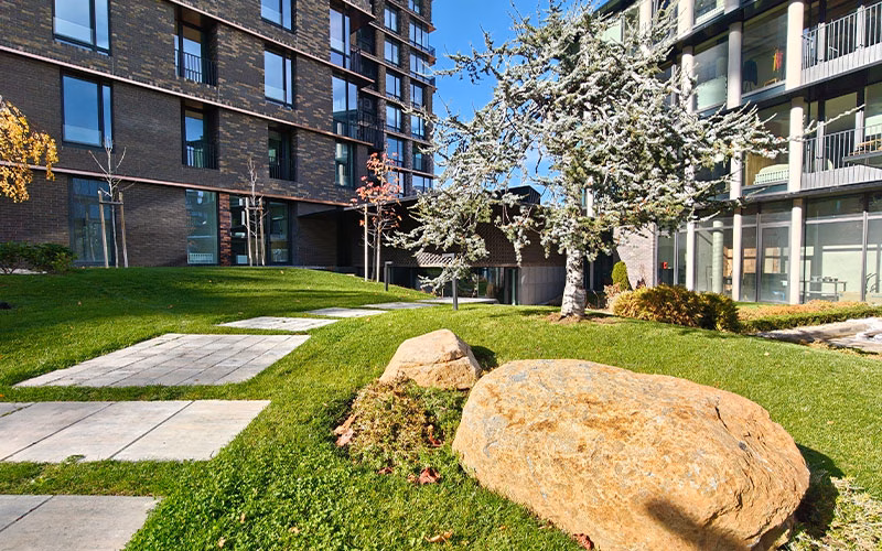 بررسی گوشی ریلمی GT 8 Pro 5G 17 realme gt 8 pro 5g ultrawide cam 3