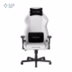 صندلی گیمینگ دی ایکس ریسر مدل Drifting Series 2025 L White