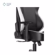 صندلی گیمینگ دی ایکس ریسر مدل Tank Series Black White
