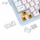 سوئیچ کیبورد بی سیم ردراگون مدل ANTONIUM K728 PRO SE پلازا دیجیتال